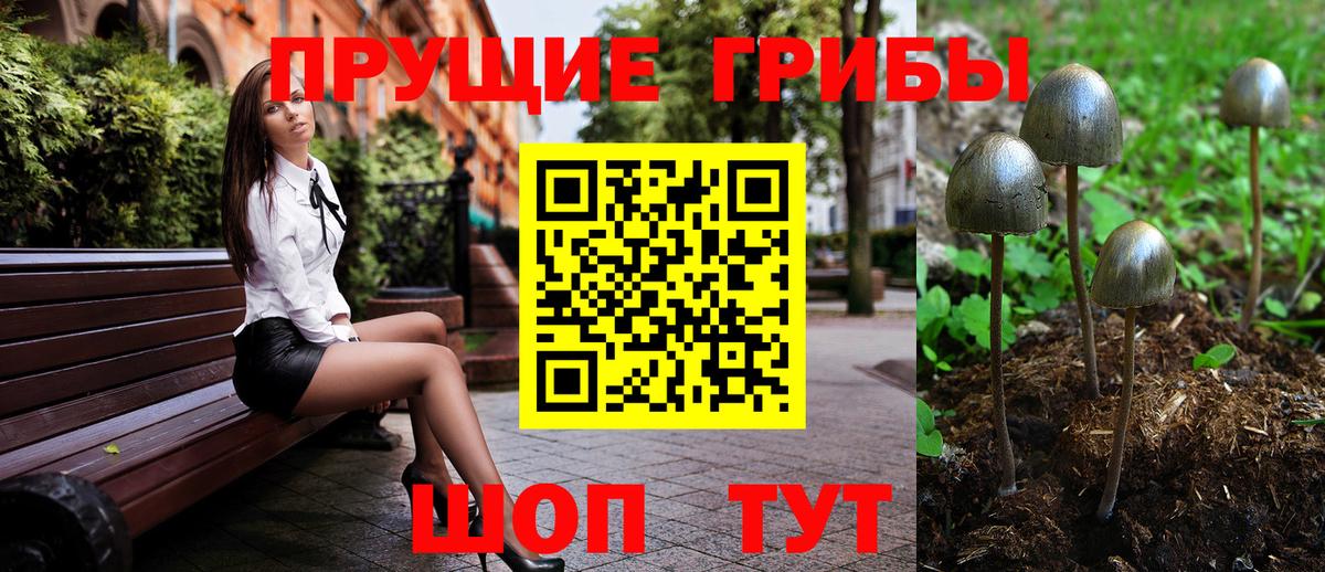 Галлюциногенные грибы Cubensis  Вход с VPN  Зеленокумск  Псилоцибиновые грибы MAGIC MUSHROOMS 